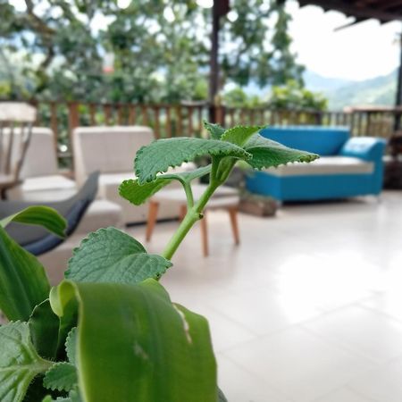 Hostal Los Wichos Minca Kültér fotó