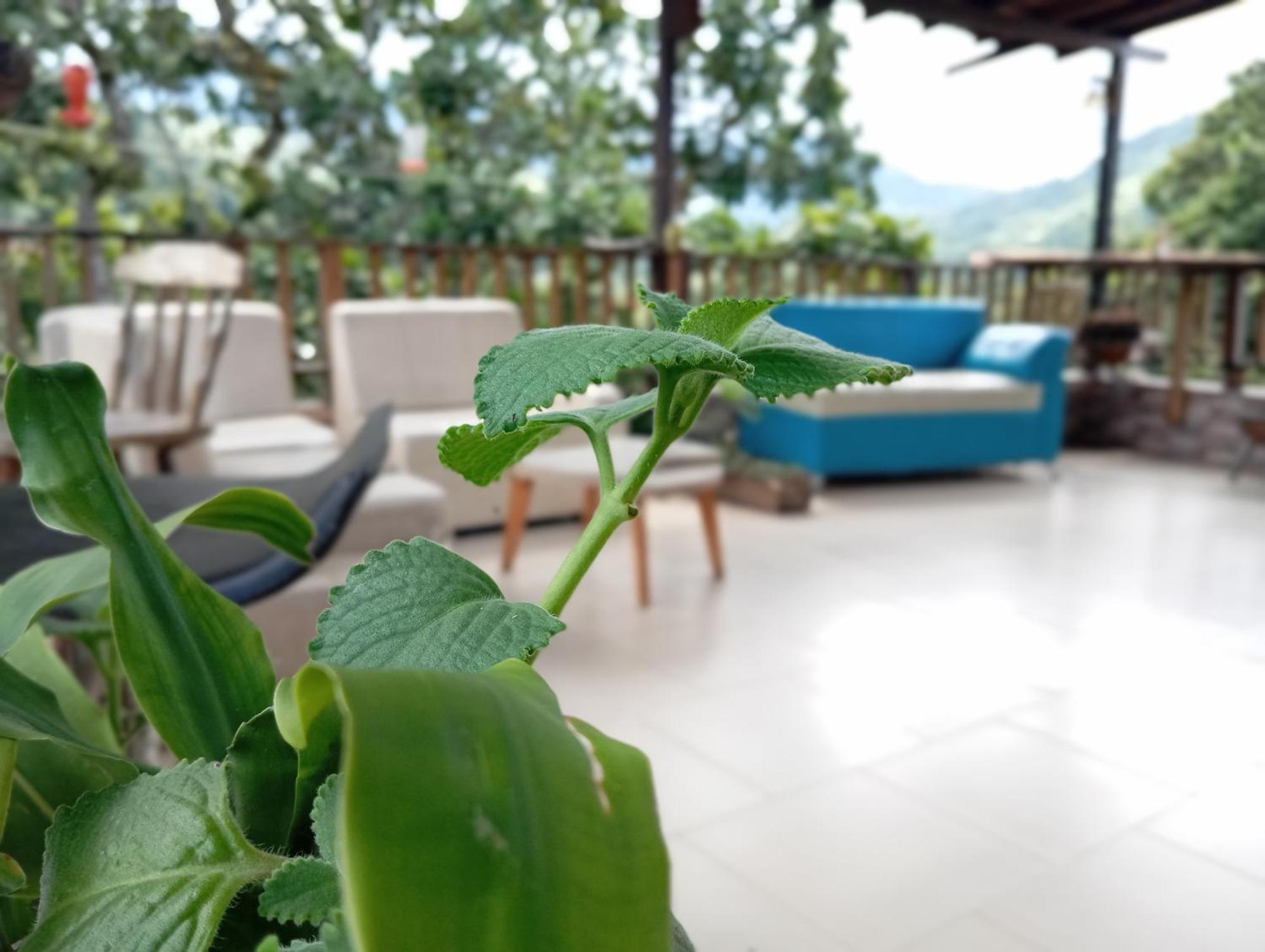 Hostal Los Wichos Minca Kültér fotó